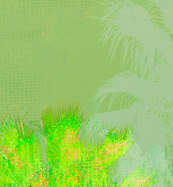 Tropical Tapestry