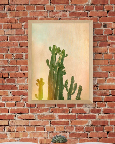 Cactus Tree Photographs | Cactus Tree Art | Fine Art Photography