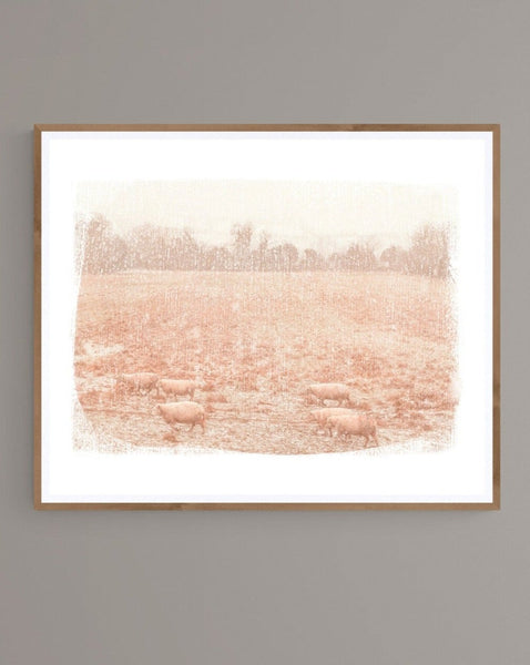 Painterly Photograph of Sheep and snow Ireland