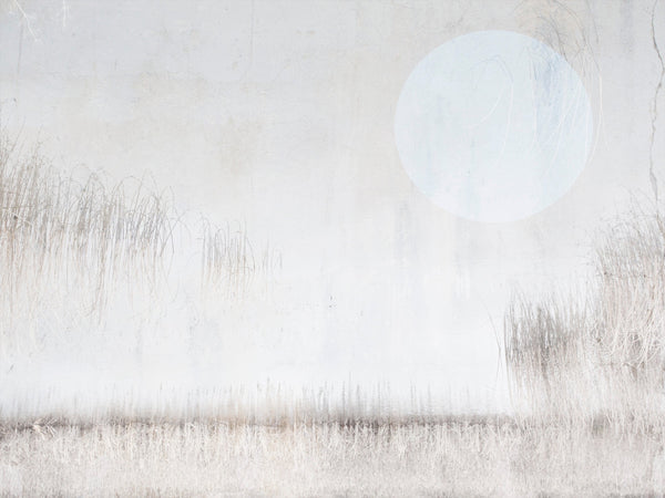 Lough Boora Blue Moon | Framed Printing | Fine Art Photography