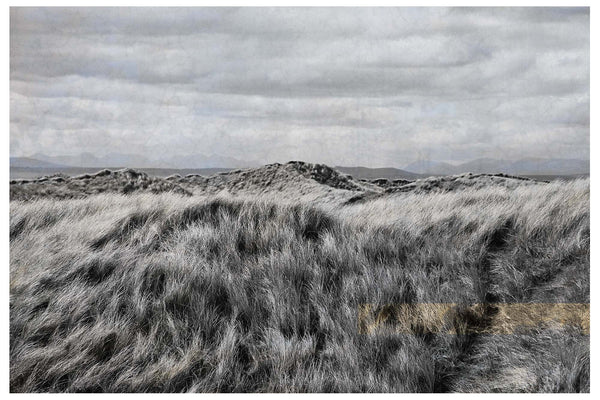 Beach Grass Home Decor Art | Home Decor Art | Fine Art Photography