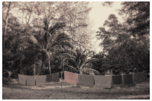 Between the Palm Trees Photography | Fine Art Photography