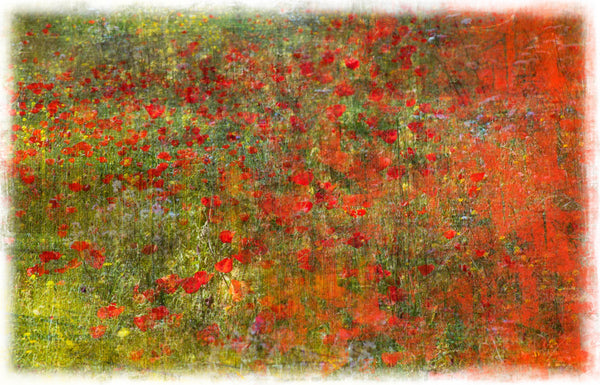 Poppy Red