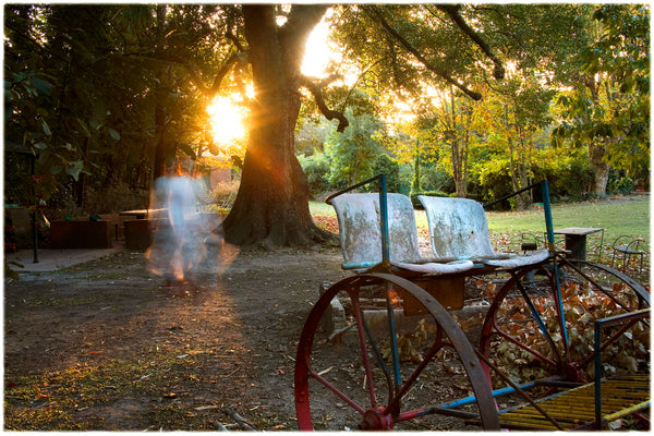 Camila Carriage Photography | Camila Carriage | Fine Art Photography