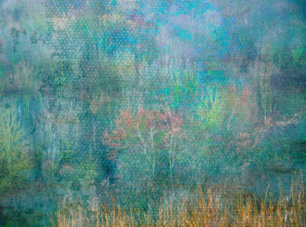 Blue Woods Print | Home Decor Print | Fine Art Photography