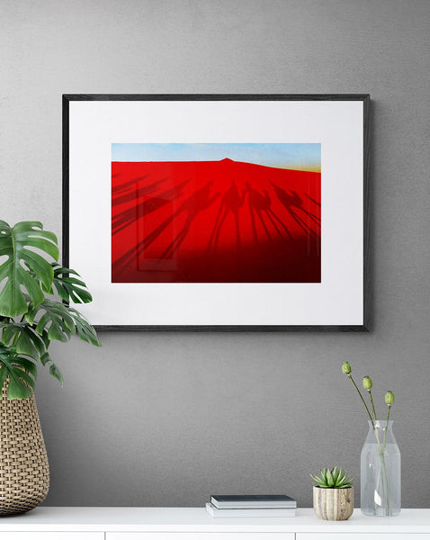 Saharan Camel Shadows