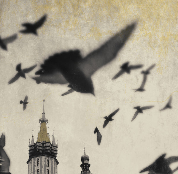 St. Mary's Church,  Kraków