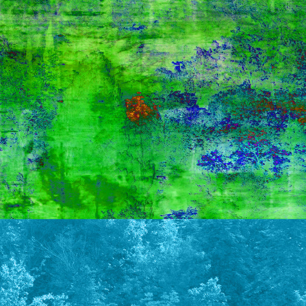 Blended Blue Woods Art | Blended Woods | Fine Art Photography Art