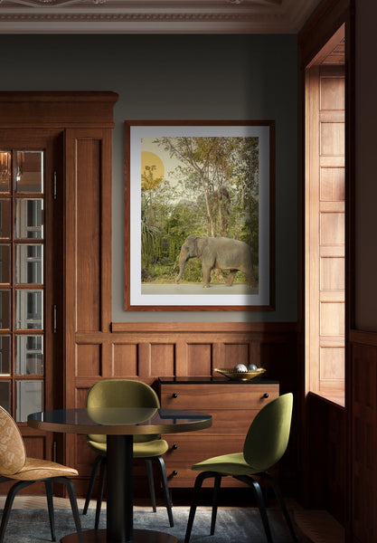 Elephant Takes an Evening Stroll | Fine Art Photography