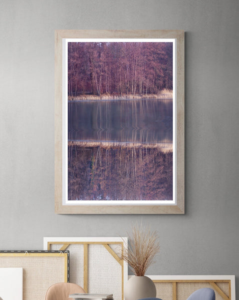 Forest Reflection Fine Art | Forest Fine Art | Fine Art Photography