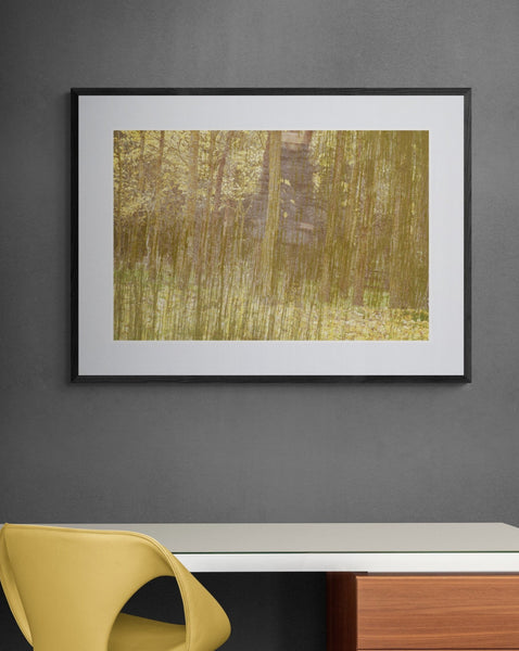 Lost in the forest #4