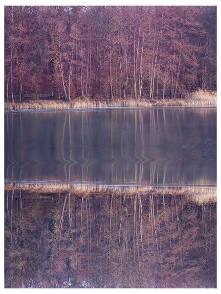 Forest Reflection Fine Art | Forest Fine Art | Fine Art Photography