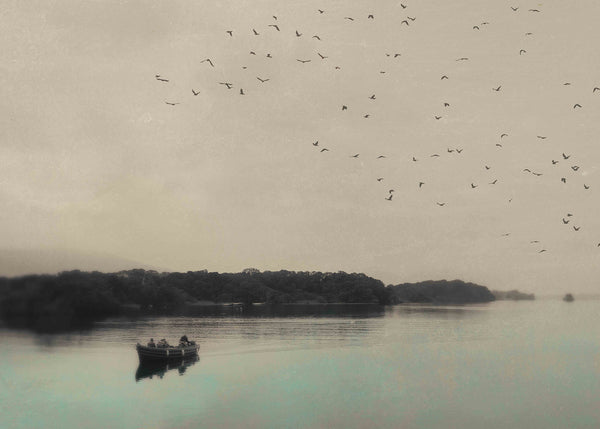 Killarney to Innisfallen Wall Art , Boat and Birds