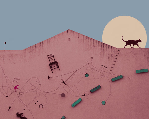 The Cat and the Moon (PINK)