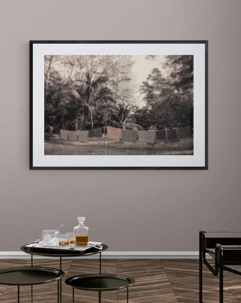 Between the Palm Trees Photography | Fine Art Photography