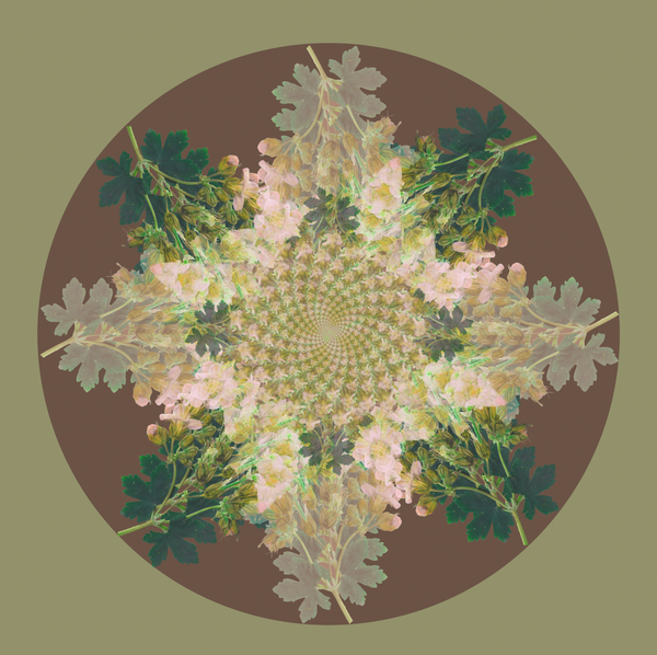 Botanical mandala #1