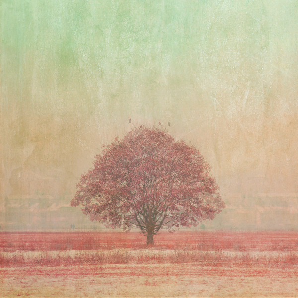 Pink Tree