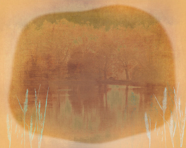 lake side grass