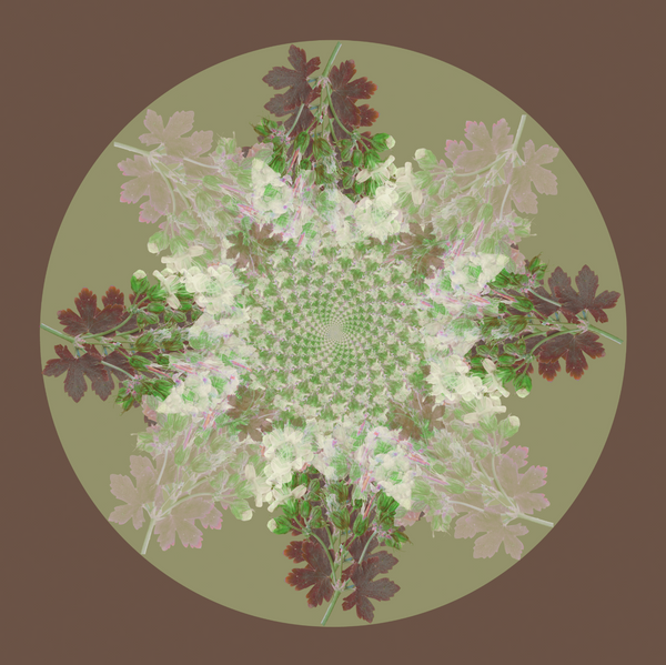 Botanical Mandala #2