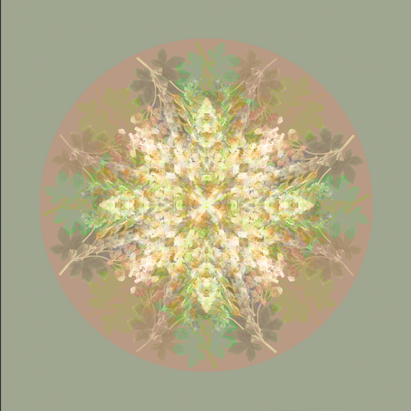 Botanical mandala #3