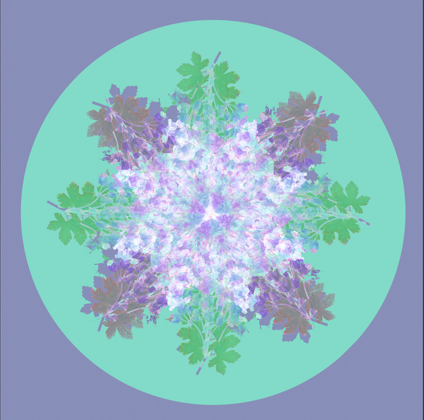 Botanical mandala #5