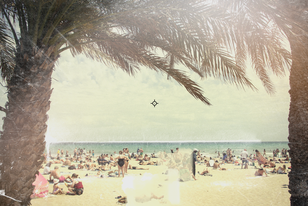Palm-Framed Beach