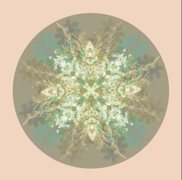 Botanical mandala #4