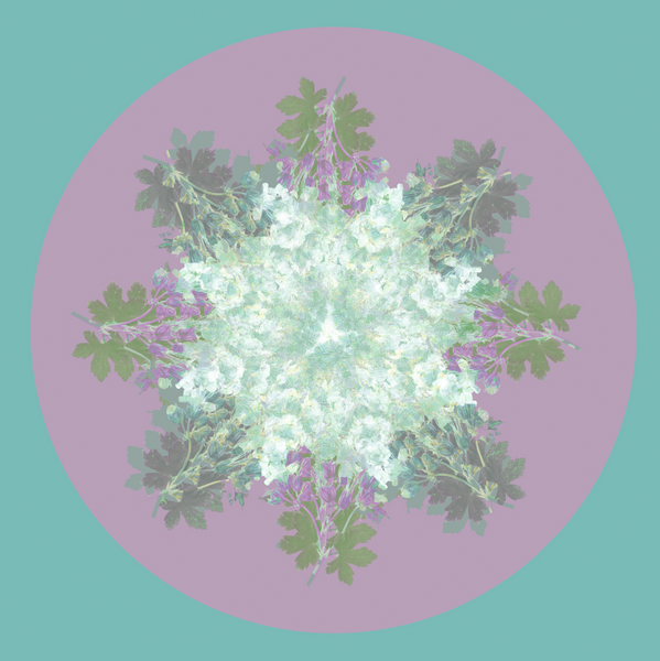 Botanical mandala #6