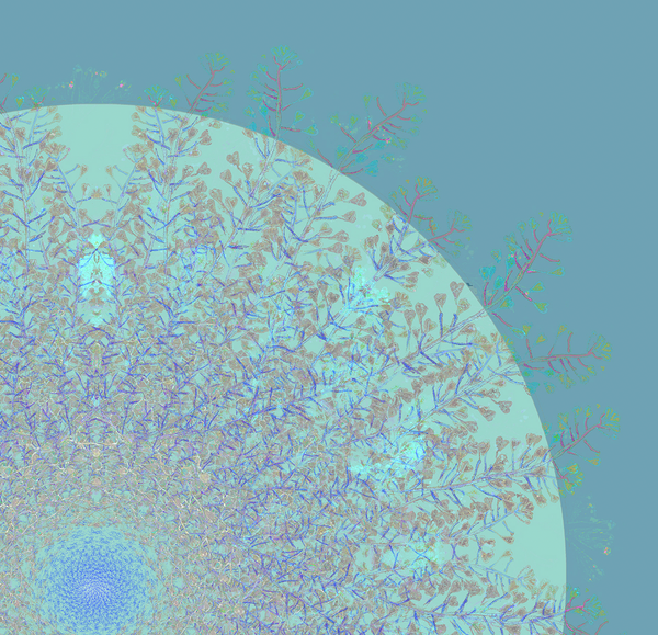 Floral mandala #3