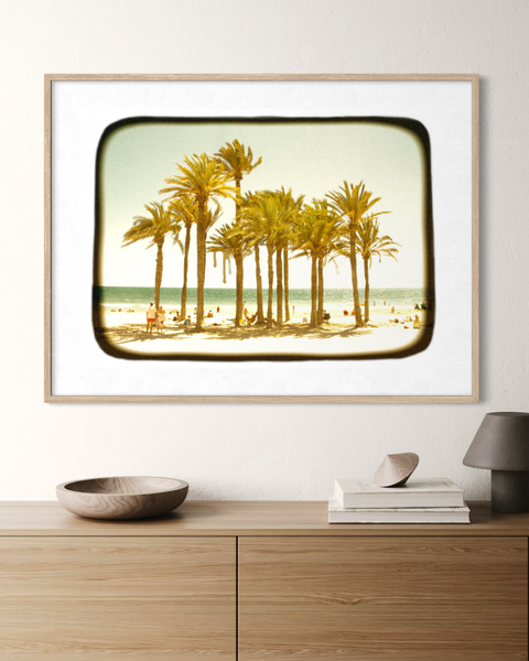 Palm Grove