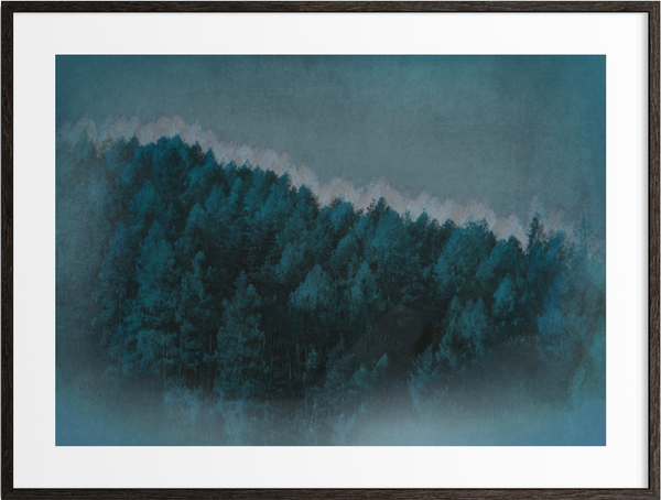Midnight Forest