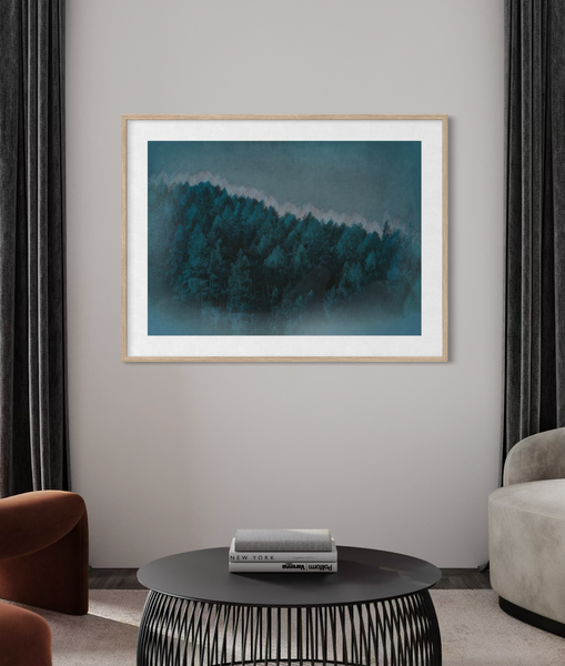 Midnight Forest