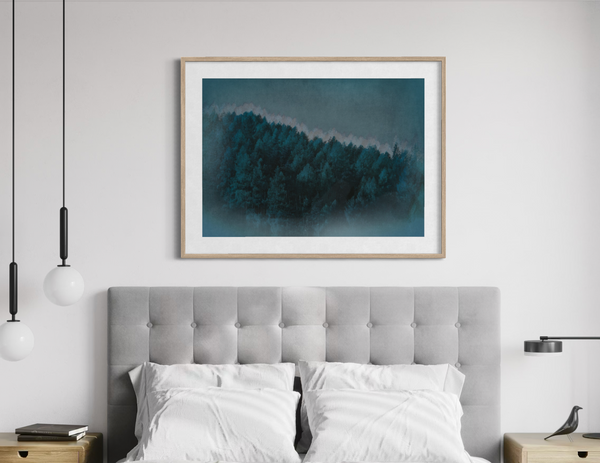Midnight Forest