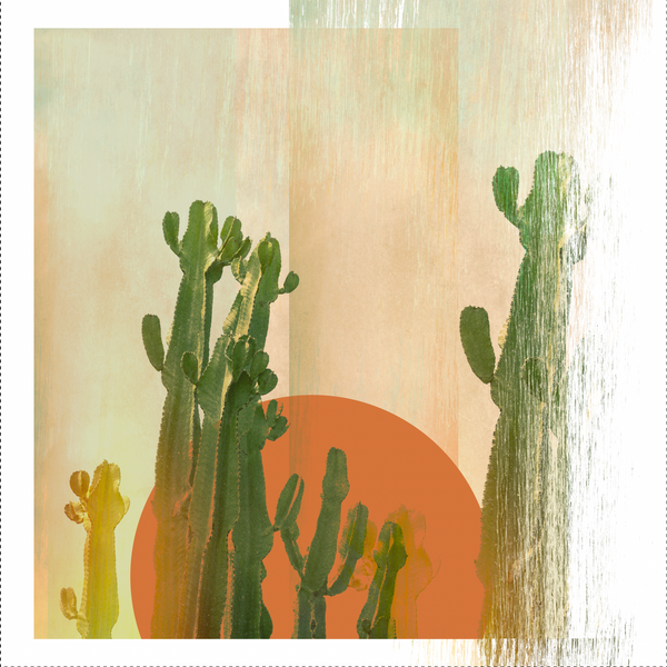 Cactus sun