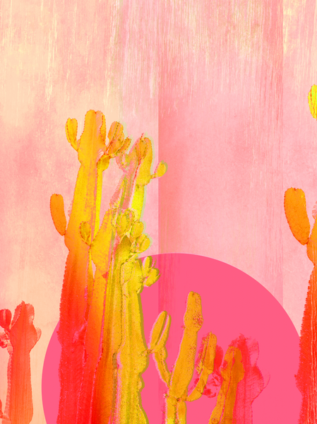 Cactus eclipse