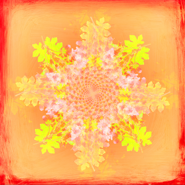 Botanical mandala #7