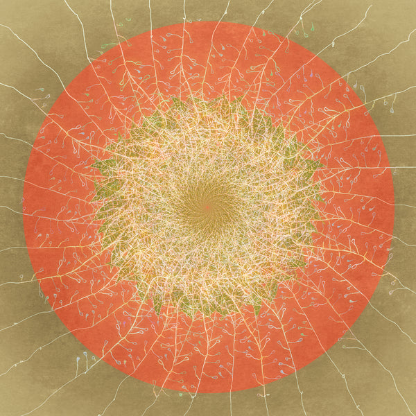 Floral mandala #1