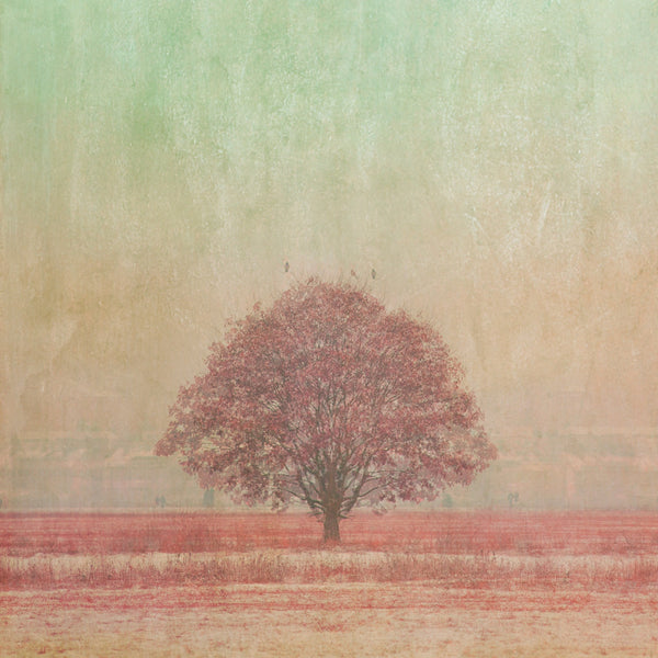 Fine Art photograph of Pink tree with green sky