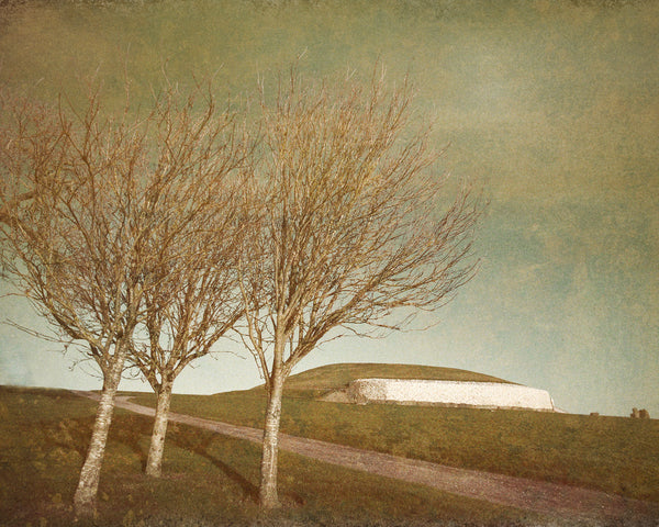 Irish Landscape, Limited edition Hahnemühle Fine Art print. Saatchi artfinder. Newgrange Neolithic passage tomb