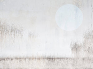 Lough Boora Blue Moon | Framed Printing | Fine Art Photography