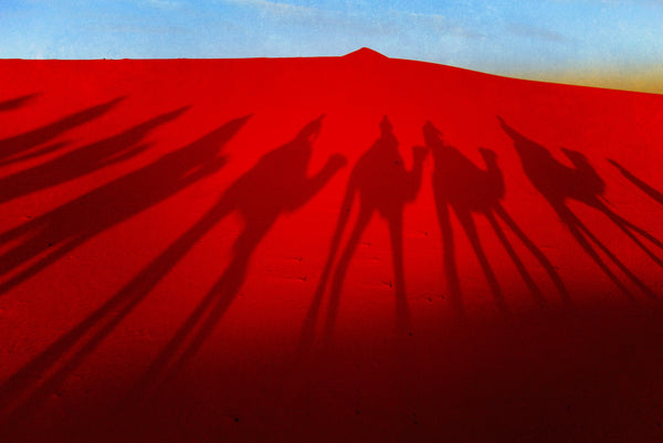 Sahara camel trek,shadows in  red sand, limited edition photograph
