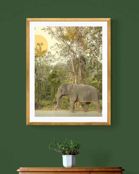 Elephant Takes an Evening Stroll | Fine Art Photography